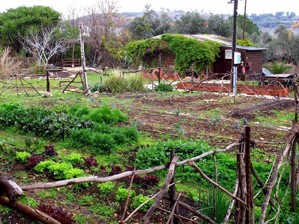 Yarok Az - Ecolodge Farm Ilaniya Ngoại thất bức ảnh